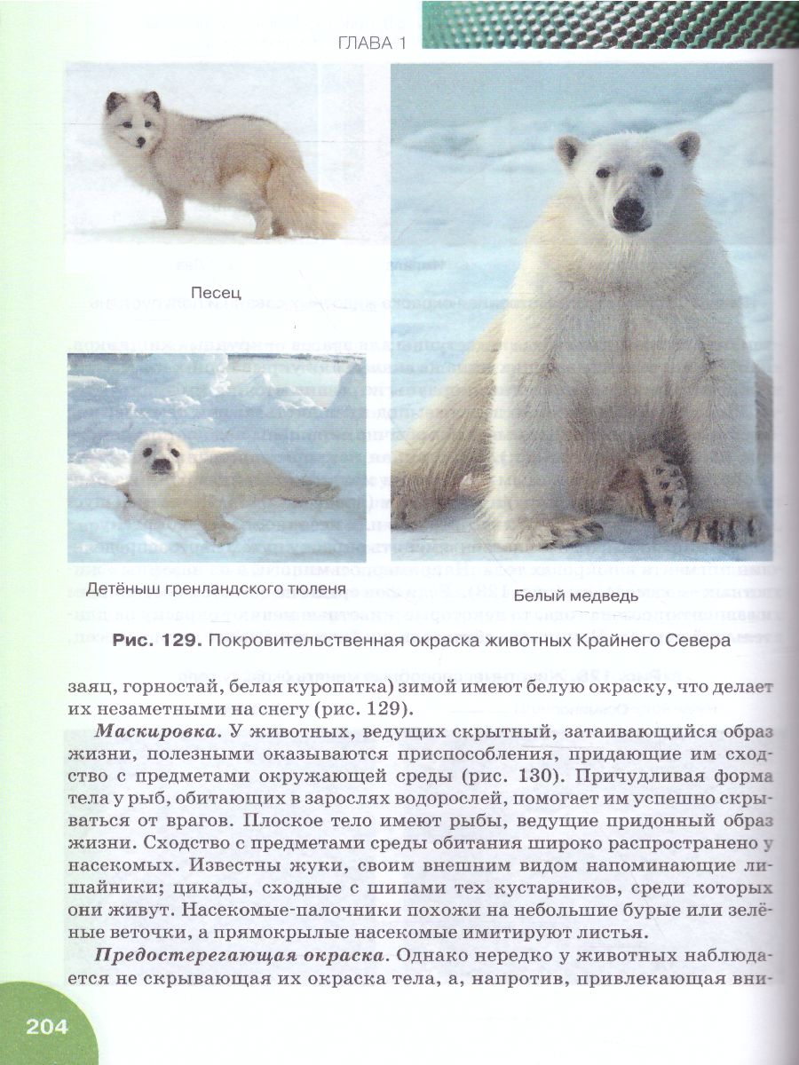 Обложка книги Биология 10-11 класс. Учебник, Автор Захаров В.Б. Романова Н.И. Захарова Е.Т. /Под ре, издательство Русское слово | купить в книжном магазине Рослит