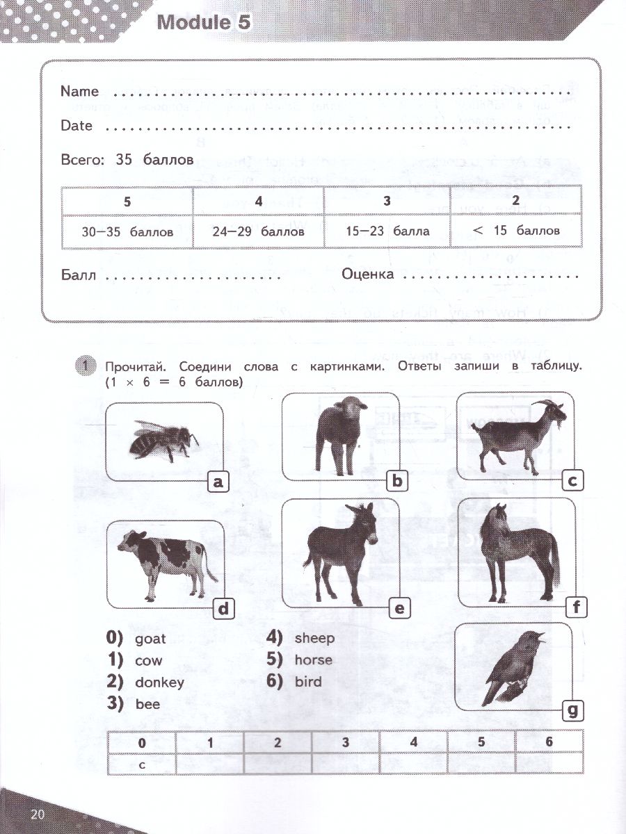 Обложка книги Английский язык 3 класс. Контрольные задания. УМК "Вместе", Автор Покидова А.Д., издательство Просвещение | купить в книжном магазине Рослит