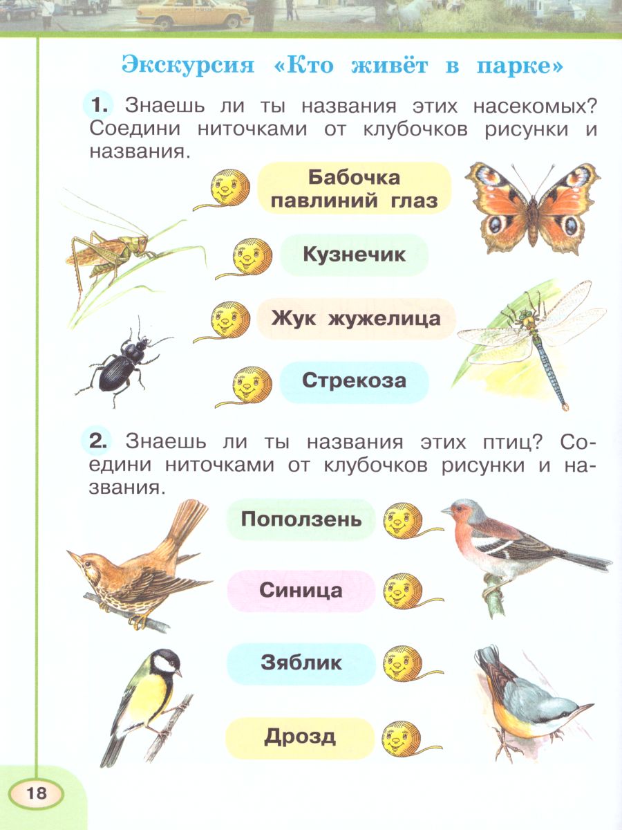 Обложка книги Окружающий мир 1 класс. Рабочая тетрадь в 2-х частях. Часть 2. УМК "Перспектива", Автор Плешаков А.А. Новицкая М.Ю., издательство Просвещение | купить в книжном магазине Рослит