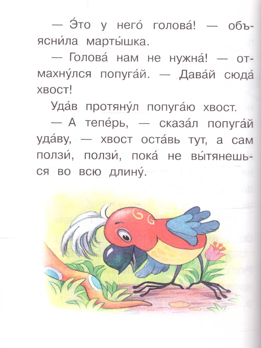 Обложка 38 попугаев, издательство АСТ | купить в книжном магазине Рослит