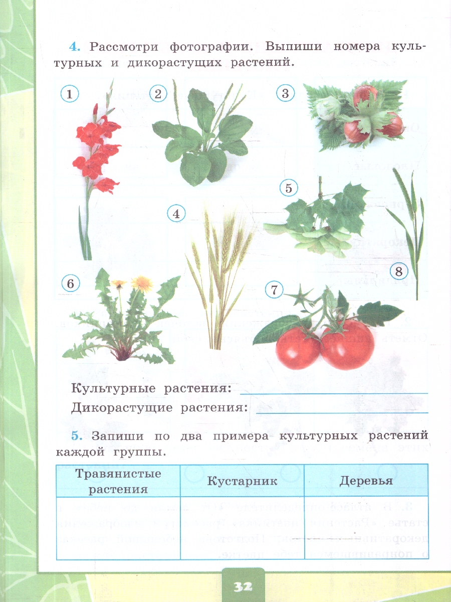 Обложка книги Окружающий мир 2 класс. Тетрадь с дневником наблюдений. Часть 1. ФГОС Новый, Автор Тихомирова Е. М., издательство Экзамен | купить в книжном магазине Рослит