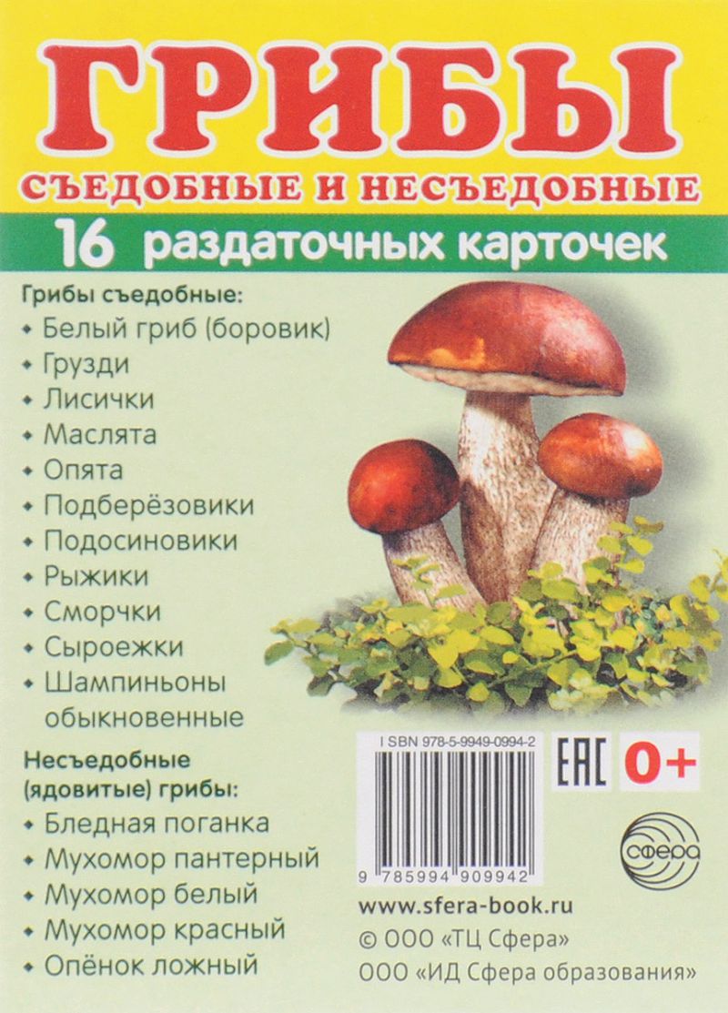 Обложка книги Демонстрационные картинки СУПЕР Грибы съедобные и несъедобные.16 раздаточных карточек с текстом 63х87 мм, Автор Цветкова Т.В., издательство Сфера | купить в книжном магазине Рослит