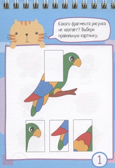 Обложка книги Умный блокнот 80 задачек на смекалку 4+, Автор , издательство Айрис | купить в книжном магазине Рослит