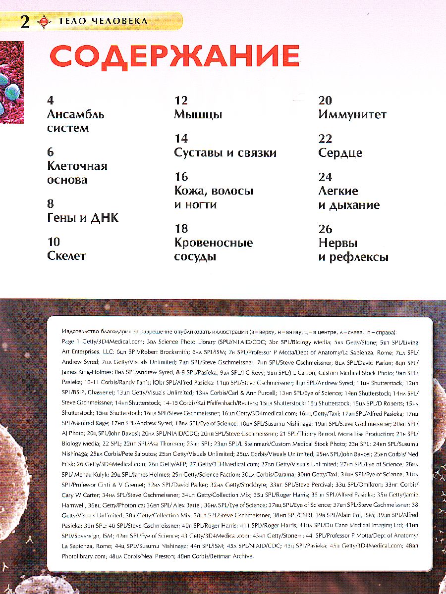 Обложка Тело человека (ДЭР), издательство РОСМЭН | купить в книжном магазине Рослит