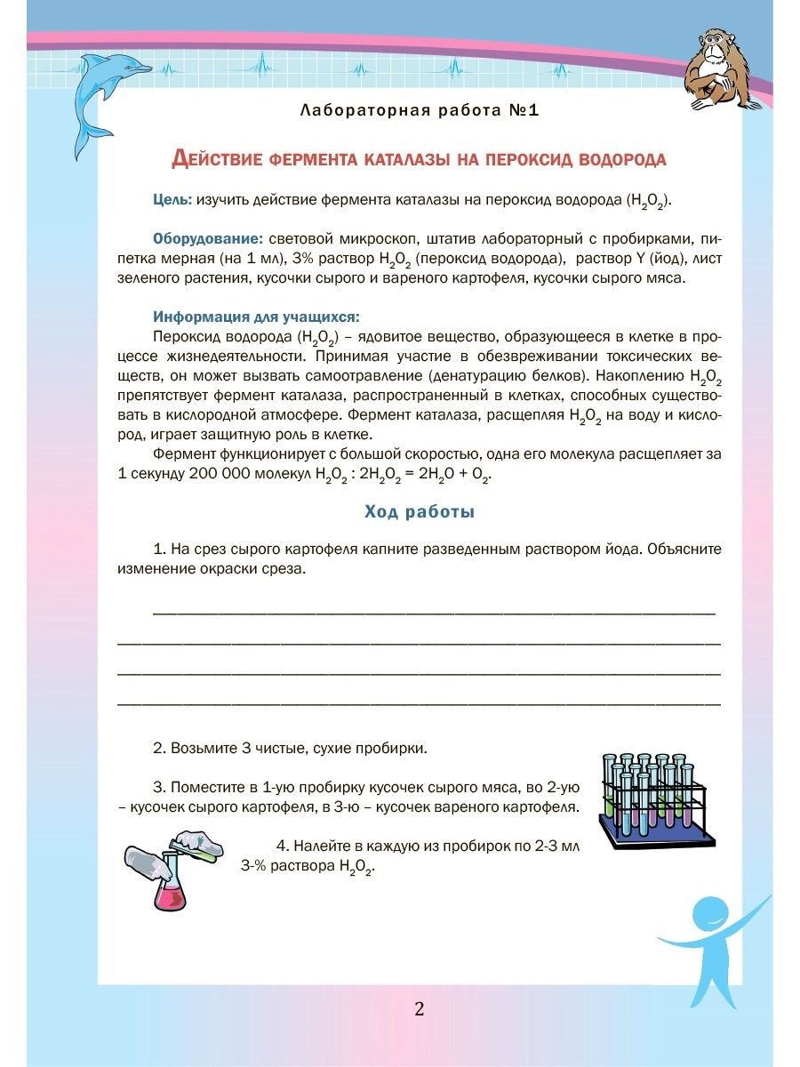 Обложка книги Биология 8 класс. Лабораторный практикум. Часть 1. Тетрадь для обучающихся, Автор Месникова И.А. Гренкова Л.Г., издательство Планета | купить в книжном магазине Рослит