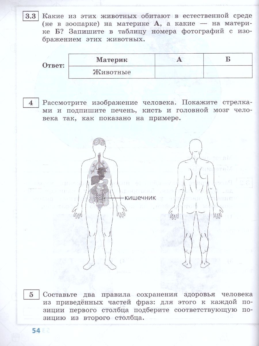 Обложка книги ВПР Окружающий мир 4 класс. 10 типовых вариантов, Автор Волкова Е.В. Корнейчик Е.В., издательство Просвещение/Союз                                   | купить в книжном магазине Рослит