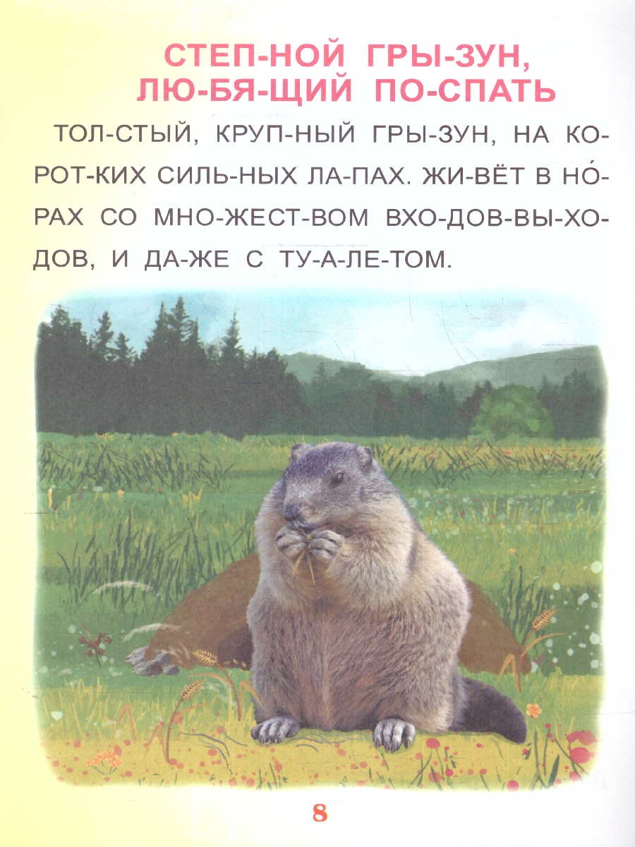 Обложка книги Читаем по слогам. Крупные буквы. Читалочки-познавалочки. Рассказы: слоговой тренажёр, Автор , издательство Учитель | купить в книжном магазине Рослит