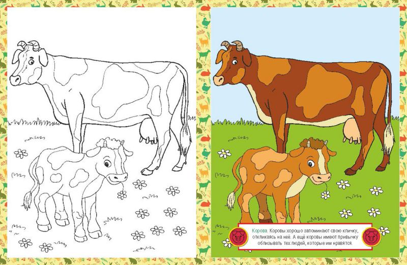 Обложка книги Раскраска детская. Домашние животные, Автор , издательство РУЗ Ко | купить в книжном магазине Рослит