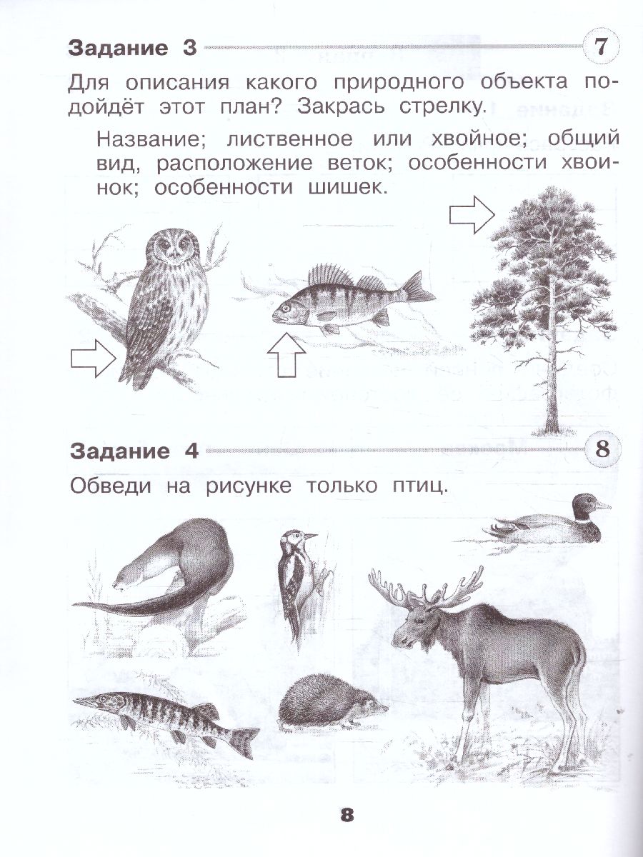 Обложка книги Окружающий мир 1 класс. Проверочные работы. УМК "Школа России" (ФП2022), Автор Плешаков А.А. Плешаков С.А., издательство Просвещение | купить в книжном магазине Рослит