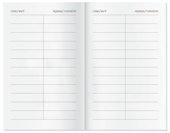 Обложка книги Тетрадь для записи иностранных слов с клапанами"Скажите СЫР", Автор , издательство Айрис | купить в книжном магазине Рослит