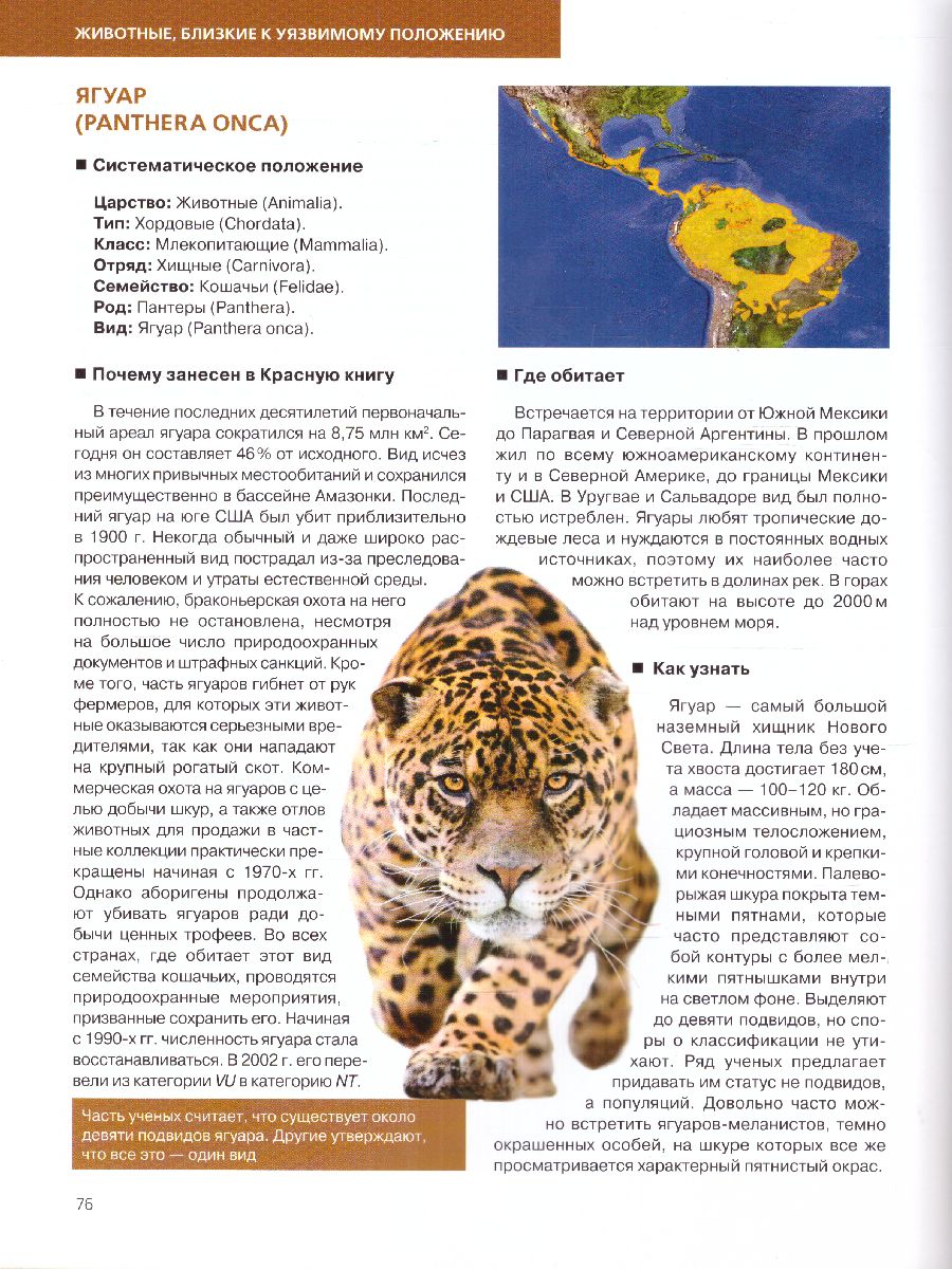 Обложка Красная книга. Животные мира / Красная книга для больших и маленьких, издательство ЭКСМО | купить в книжном магазине Рослит