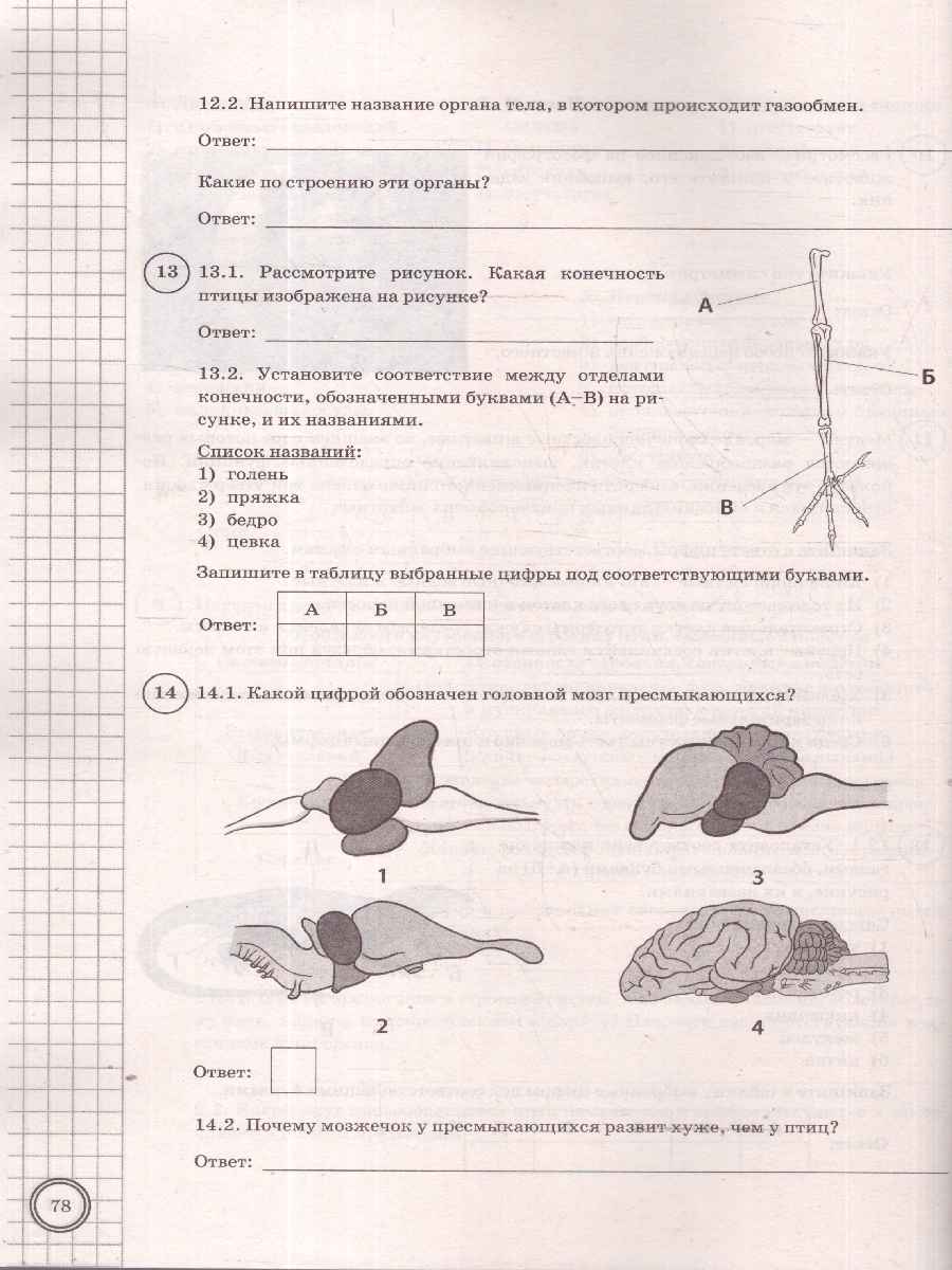 Обложка книги ВПР Биология 8 класс. 10 типовых вариантов, Автор Мазяркина Т. В., издательство Экзамен | купить в книжном магазине Рослит