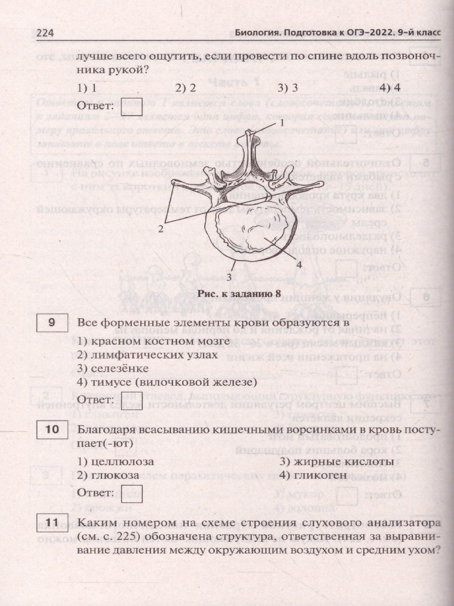 Обложка книги ОГЭ-2022. Биология 9 класс. 20 тренировочных варианта по демоверсии 2022 года, Автор Кириленко А.А. Колесников С.И. Даденко Е.В., издательство ЛЕГИОН | купить в книжном магазине Рослит