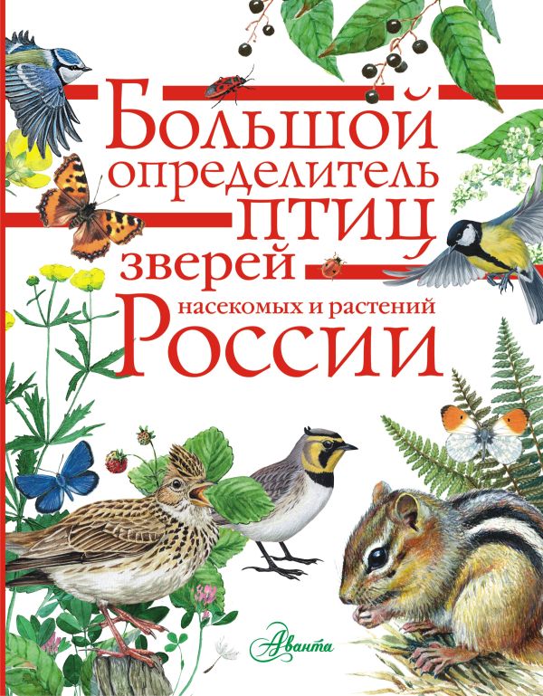 Обложка книги Большой определитель птиц, зверей, насекомых и растений России, Автор Волцит П.М. Полевод В.А. Пескова И.М., издательство АСТ | купить в книжном магазине Рослит