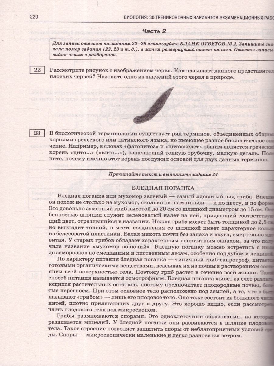 Обложка книги ОГЭ-2025 Биология. 30 тренировочных вариантов экзаменационных работ для подготовки к ОГЭ, Автор Скворцов П. М.; Банколе А. В., издательство АСТ | купить в книжном магазине Рослит