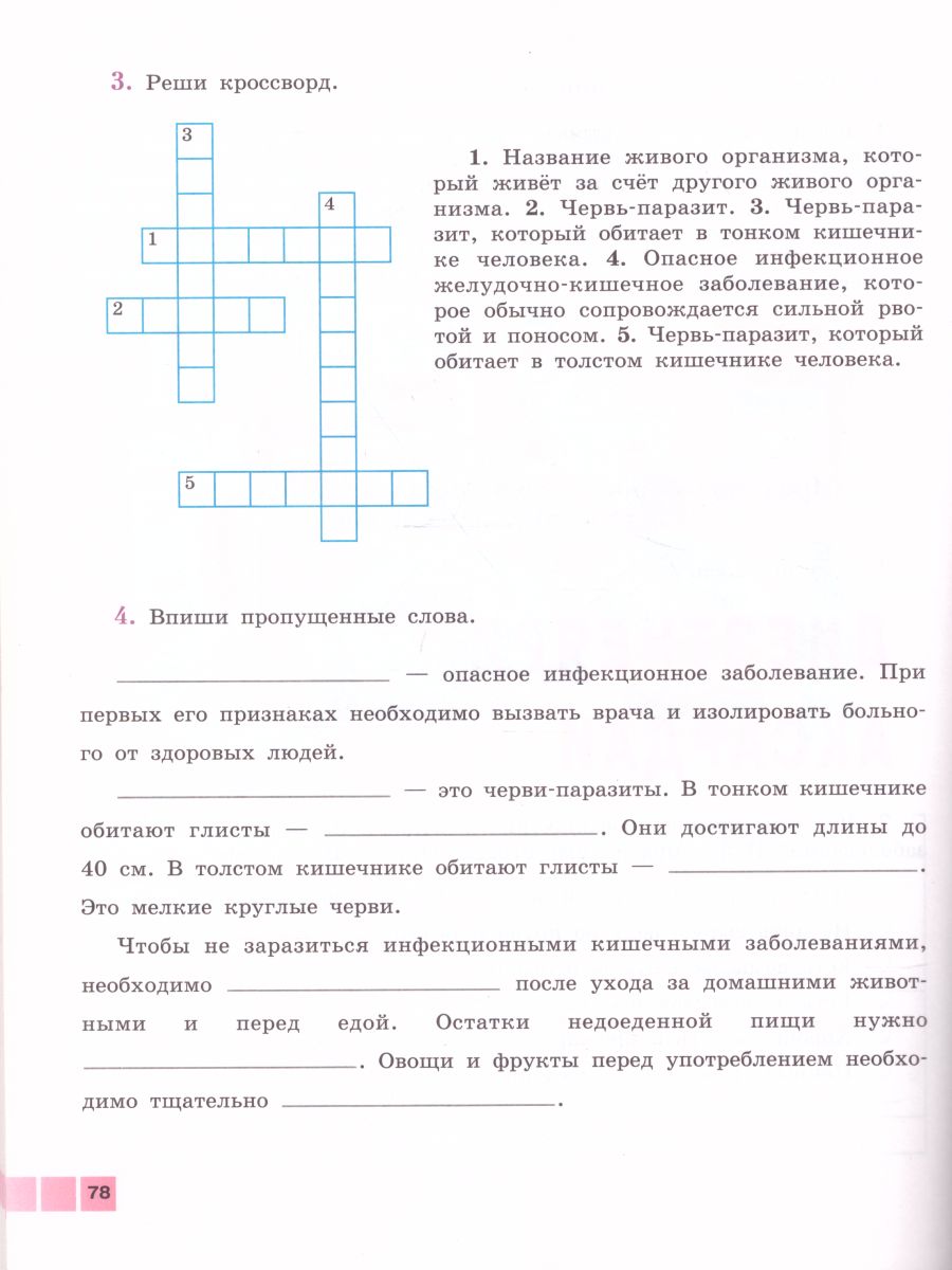Обложка книги Биология 9 класс. Человек. Рабочая тетрадь. Для специальных (коррекционных) образовательных учреждений VIII вида, Автор Соломина Е.Н. Шевырёва Т.В., издательство Просвещение | купить в книжном магазине Рослит