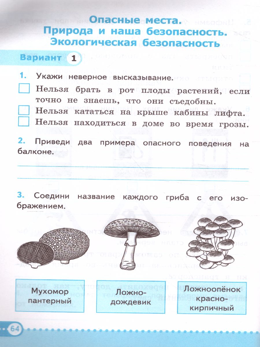Обложка книги Окружающий мир 3 класс. Зачетные работы к учебнику А.А. Плешакова. ФГОС (к новому ФПУ), Автор Тихомирова Е.М., издательство Экзамен | купить в книжном магазине Рослит