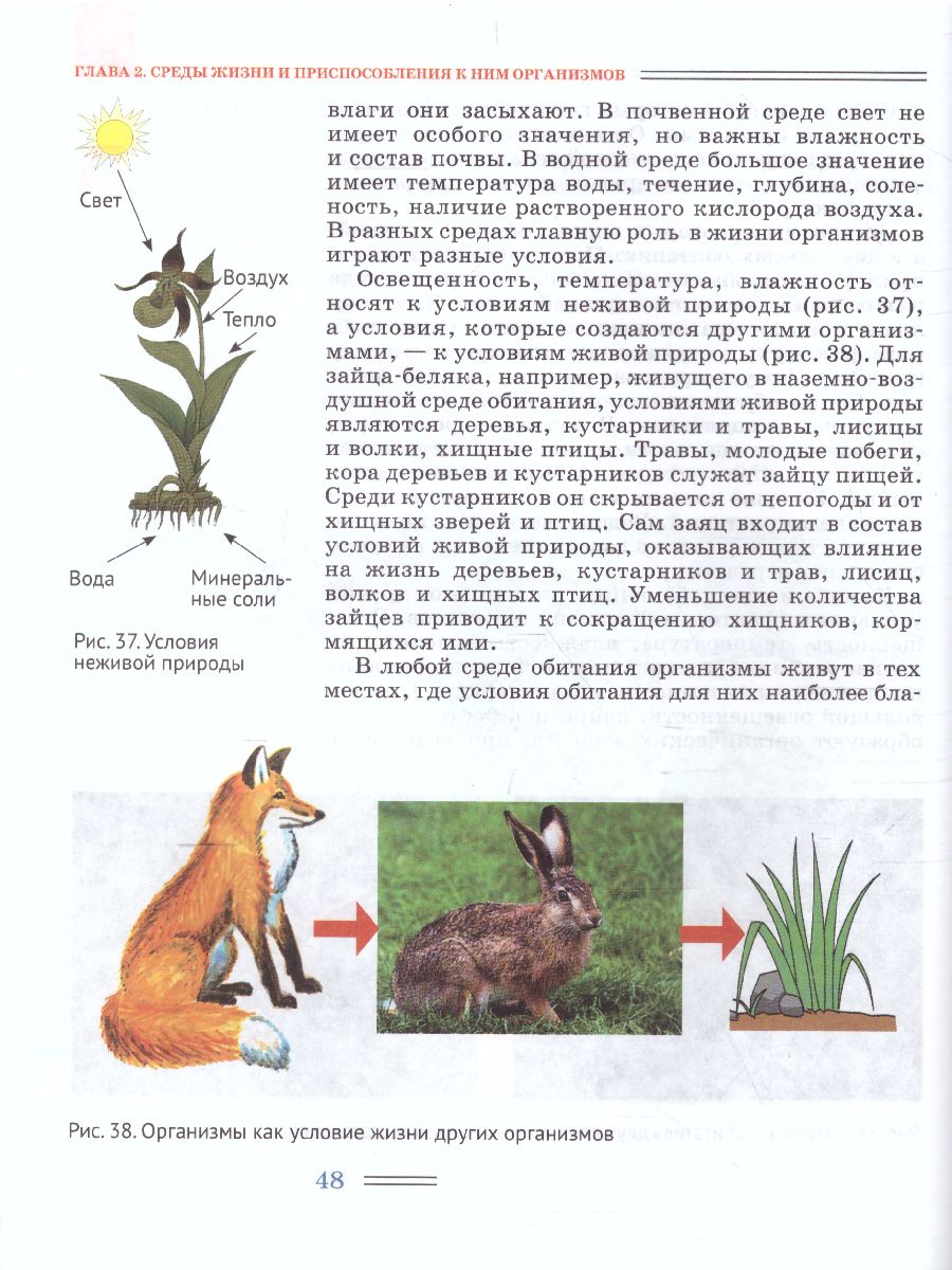 Обложка книги Биология 5 класс. Организмы, Автор Никишов А.И., издательство Владос | купить в книжном магазине Рослит