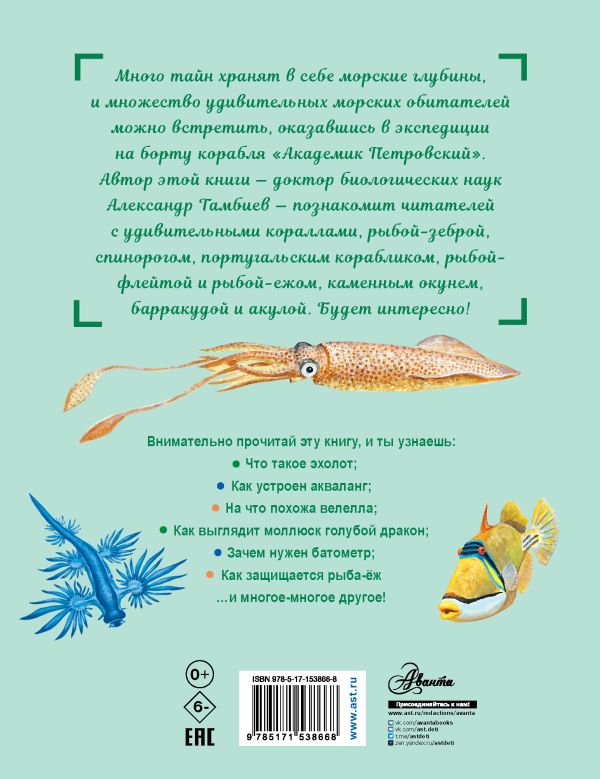 Обложка Как увидеть морское дно?/СамЛучшПочемучкиныКнижки (АСТ), издательство АСТ | купить в книжном магазине Рослит