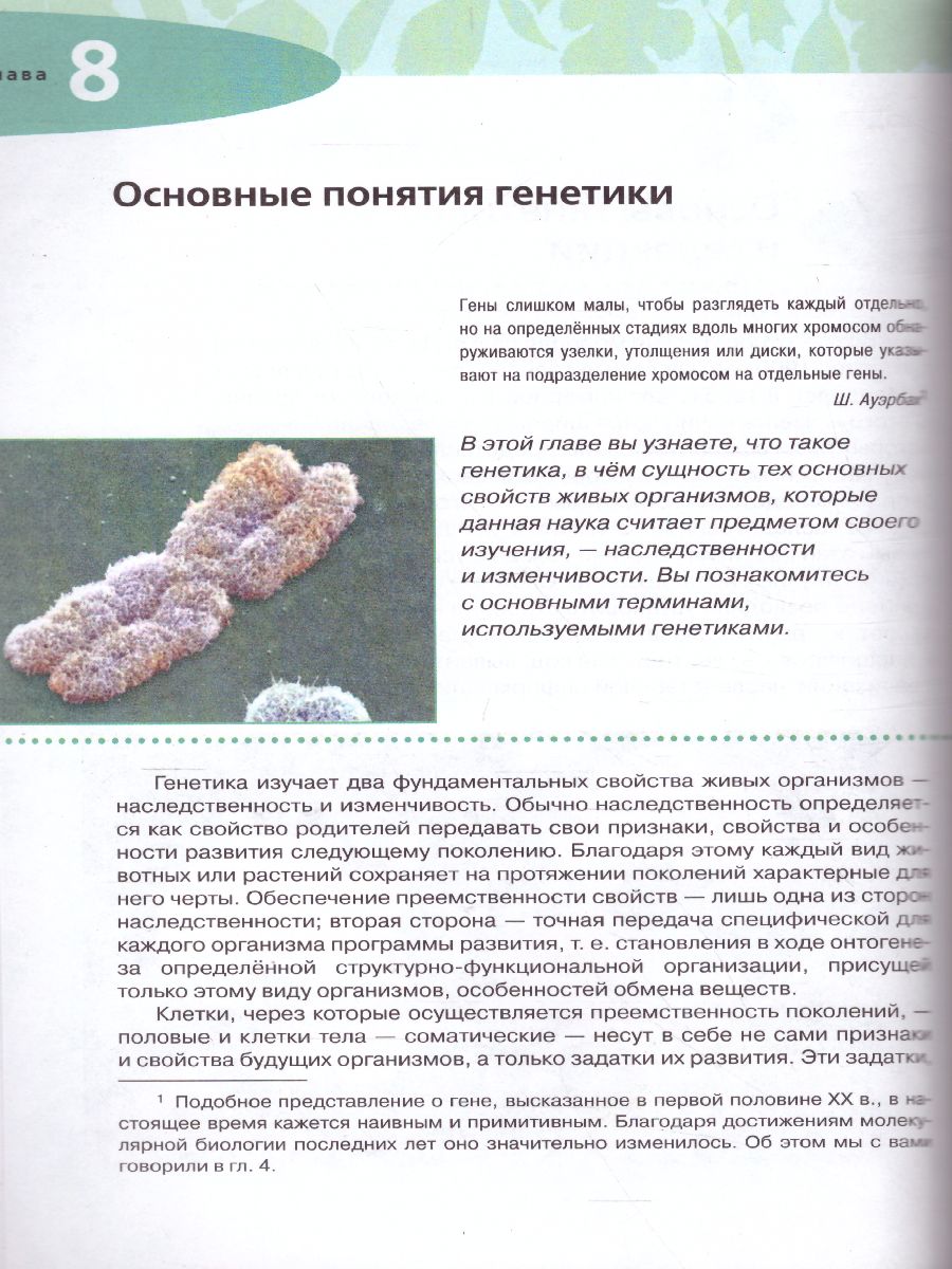 Обложка книги Биология 10 класс. Учебник. Углубленный уровень. Вертикаль. ФГОС, Автор Захаров В.Б. Мамонтов С.Г. Сонин Н.И. Захарова Е.Т., издательство Дрофа | купить в книжном магазине Рослит