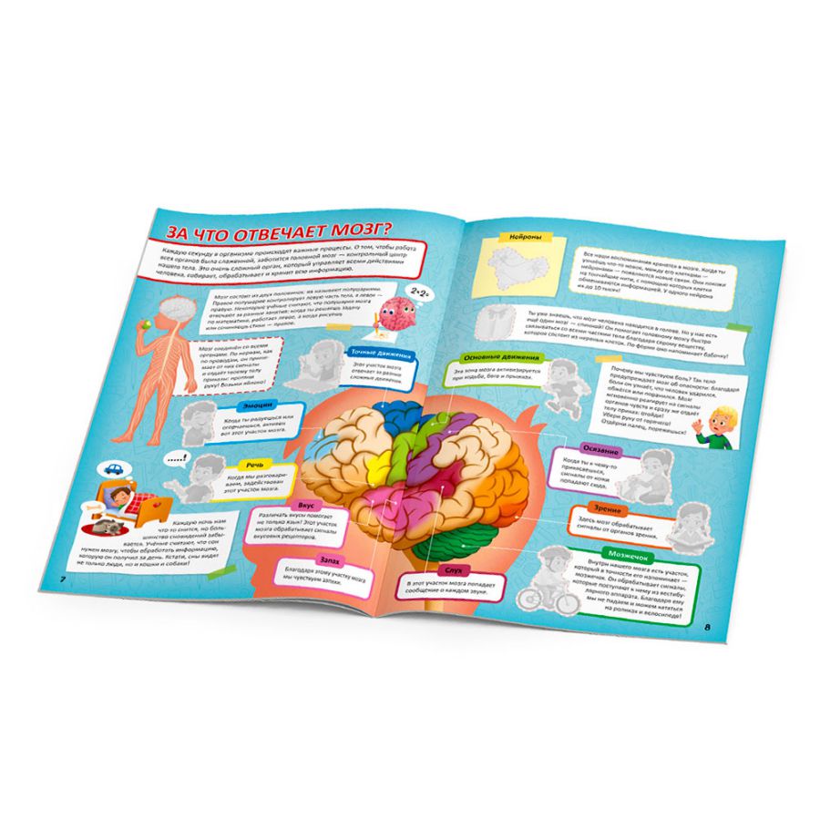 Обложка Атлас с наклейками. Тело человека, издательство ГЕОДОМ | купить в книжном магазине Рослит