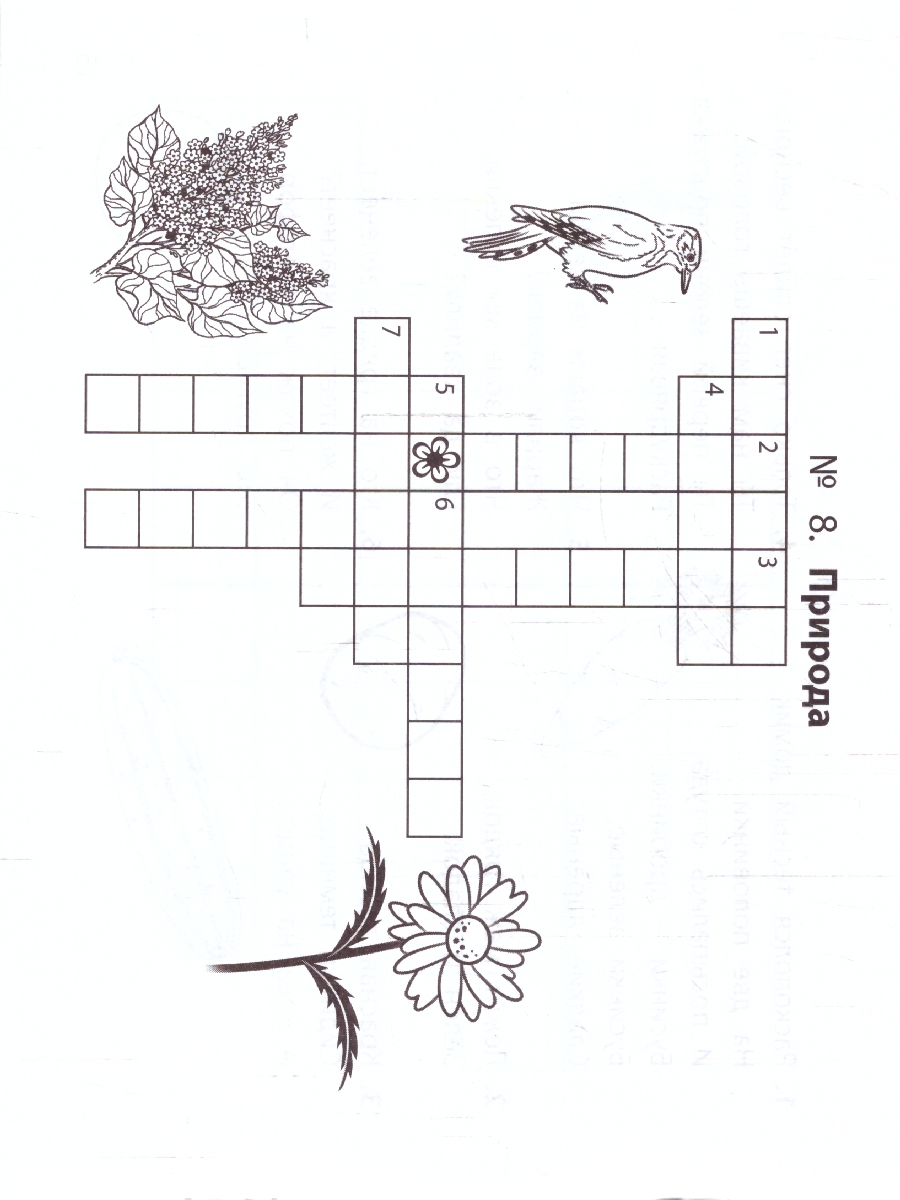 Обложка книги Веселые словарные кроссворды для начальной школы, Автор Елынцева И. В., издательство Феникс ТД                                          | купить в книжном магазине Рослит