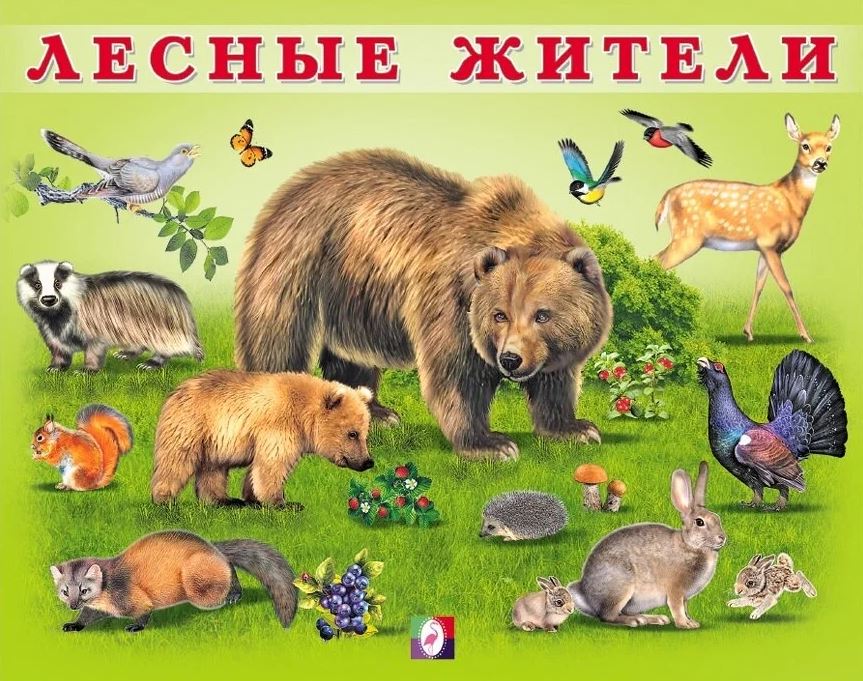 Обложка Учим малыша. Лесные жители, издательство Фламинго | купить в книжном магазине Рослит