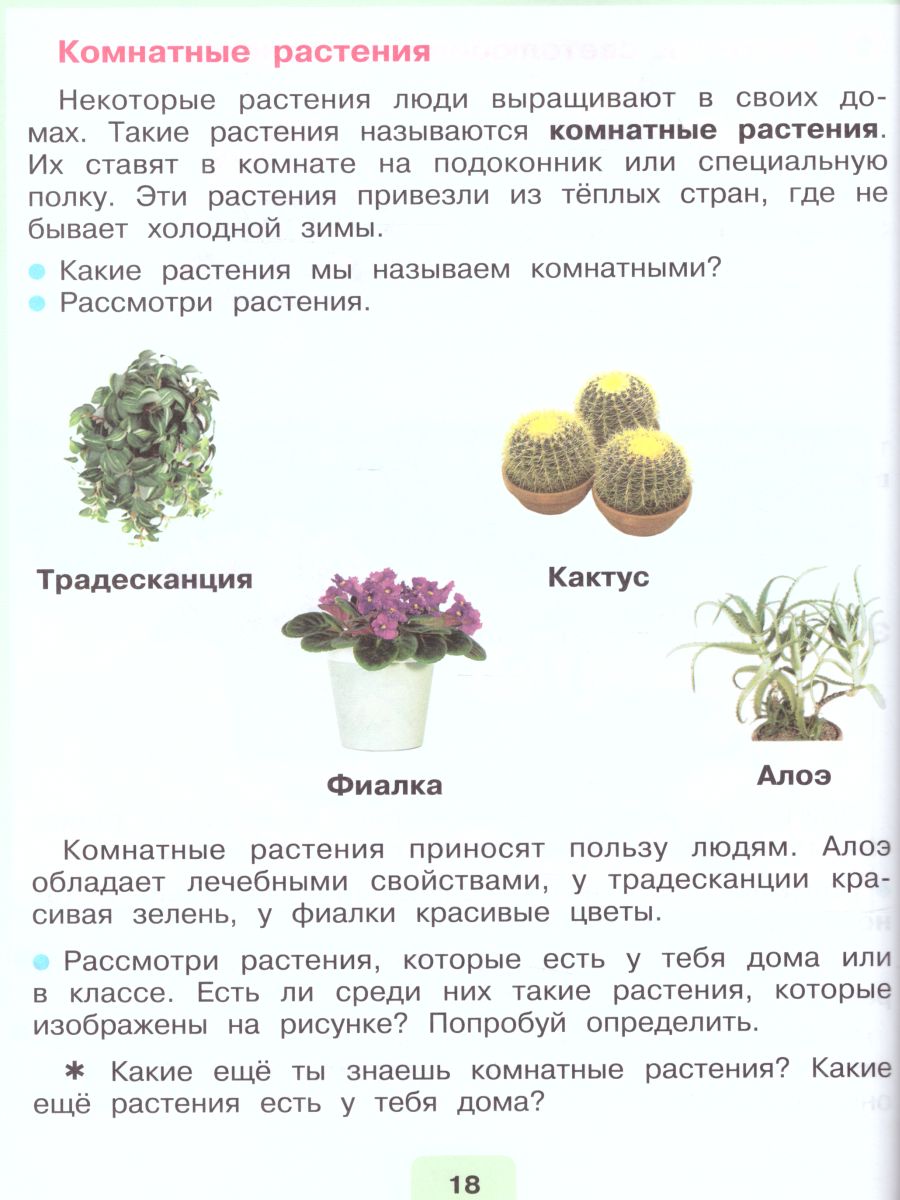 Обложка книги Мир природы и человека 2 класс. Учебник в 2-х частях. Часть 2 (для обучающихся с интеллектуальными нарушениями), Автор Матвеева Н.Б. Ярочкина И.А. Попова М.А., издательство Просвещение | купить в книжном магазине Рослит