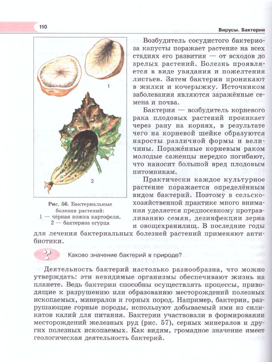Обложка книги Биология 6 класс. Живые организмы. Растения. Бактерии. Грибы. Учебник, Автор Трайтак Д.И. Трайтак Н.Д., издательство Мнемозина | купить в книжном магазине Рослит