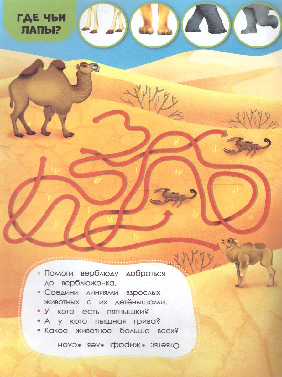 Обложка Книжка с заданиями и наклейками. Чей малыш, издательство ГЕОДОМ | купить в книжном магазине Рослит