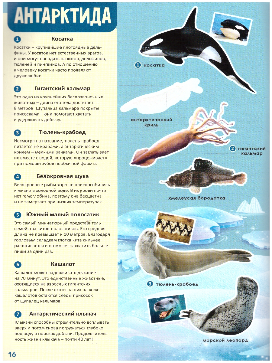 Обложка Атлас Мира с наклейками. Обитатели рек, морей и океанов. 21х29,7 см. 16 страниц, издательство ГЕОДОМ | купить в книжном магазине Рослит