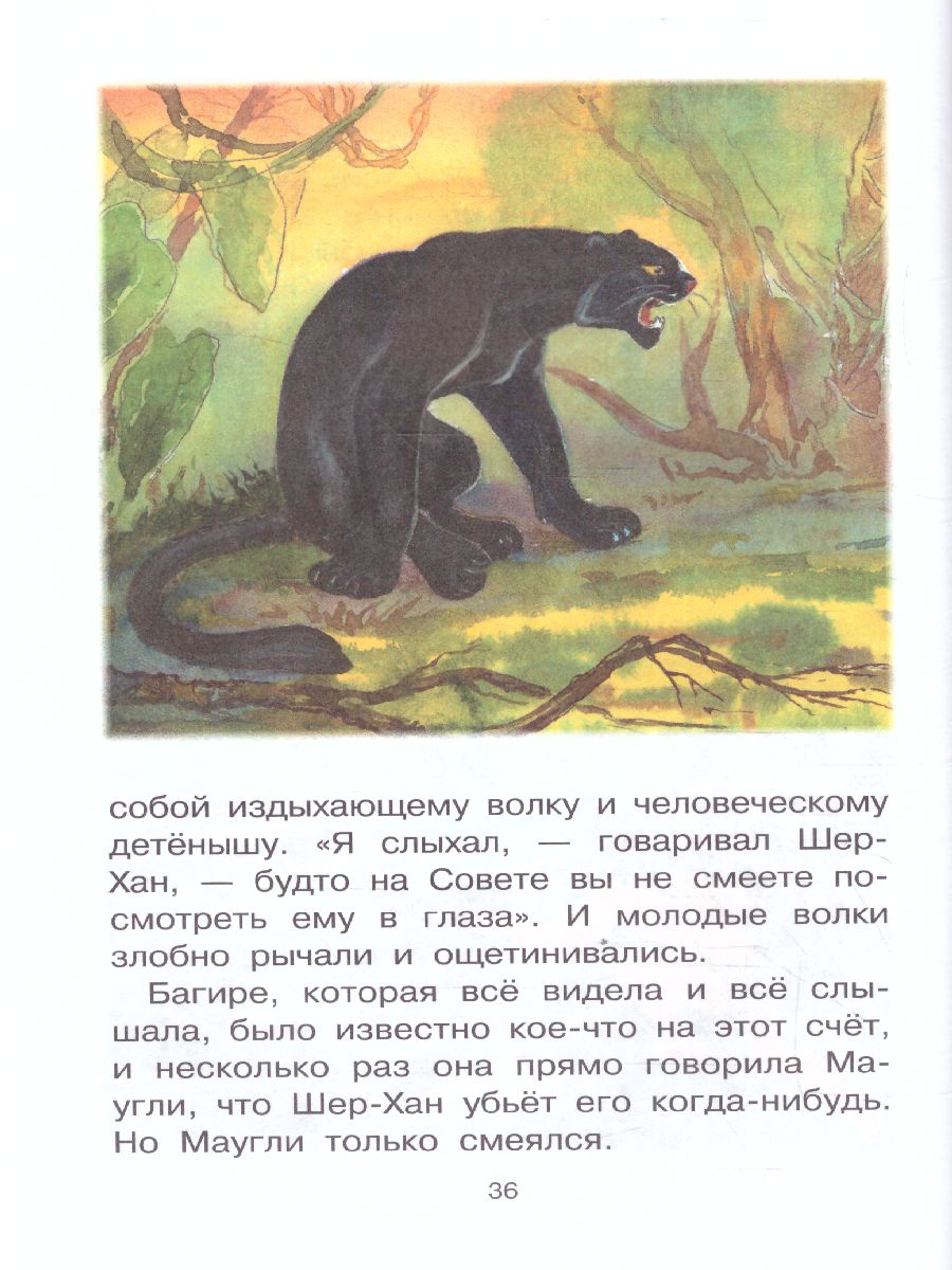 Обложка книги Маугли, Автор Киплинг Р.Д., издательство АСТ | купить в книжном магазине Рослит