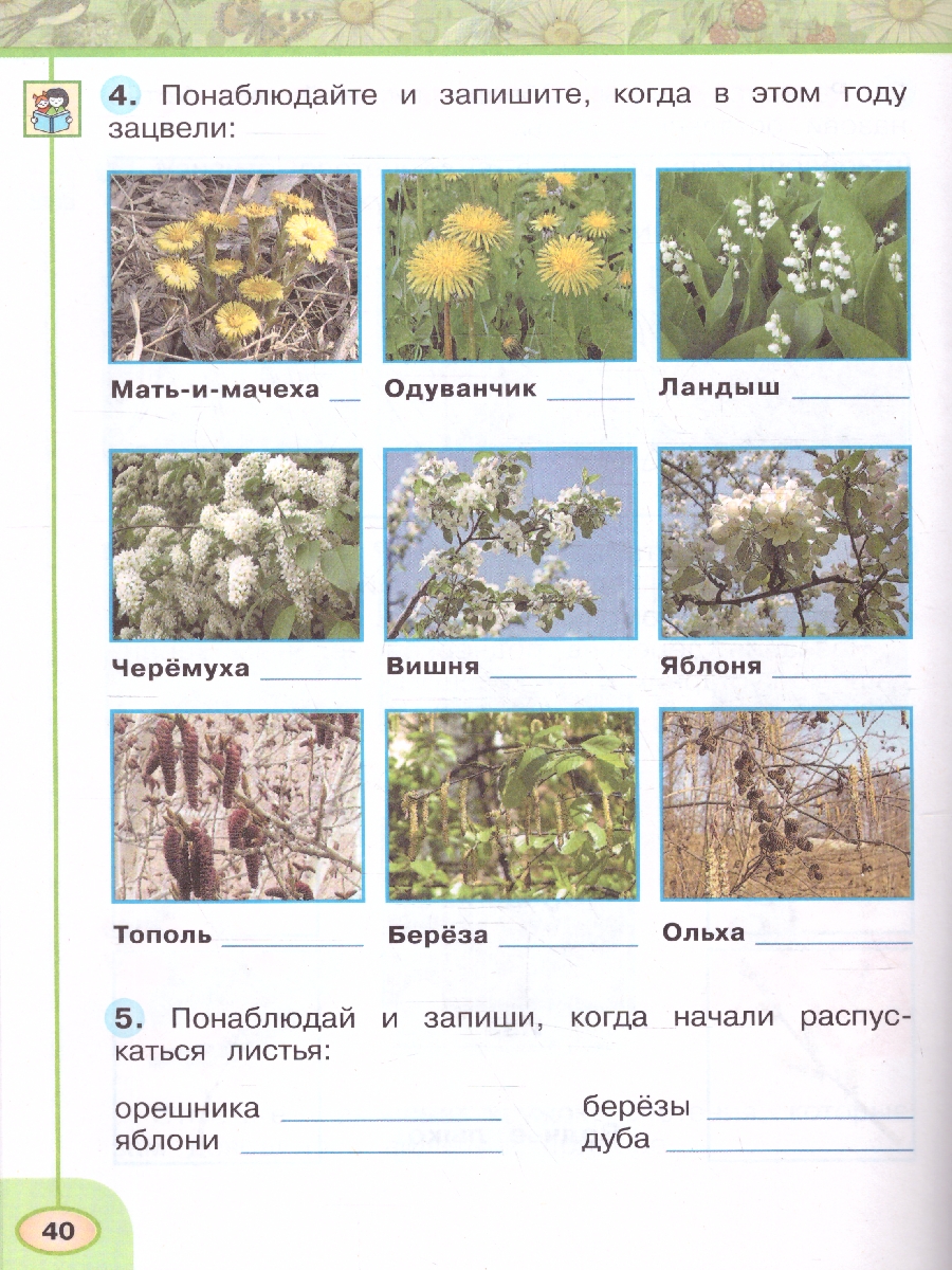 Обложка книги Окружающий мир 2 класс. Рабочая тетрадь. Часть 2. К новому учебному пособию., Автор Плешаков А.А. Новицкая М.Ю., издательство Просвещение | купить в книжном магазине Рослит