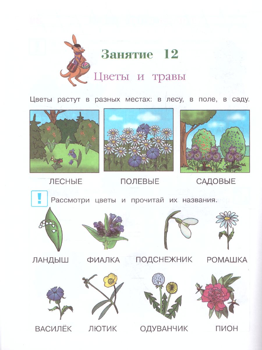 Обложка книги Изучаю мир вокруг. Для детей 5-6 лет. Часть 1, Автор Егупова В.А., издательство ЭКСМО | купить в книжном магазине Рослит