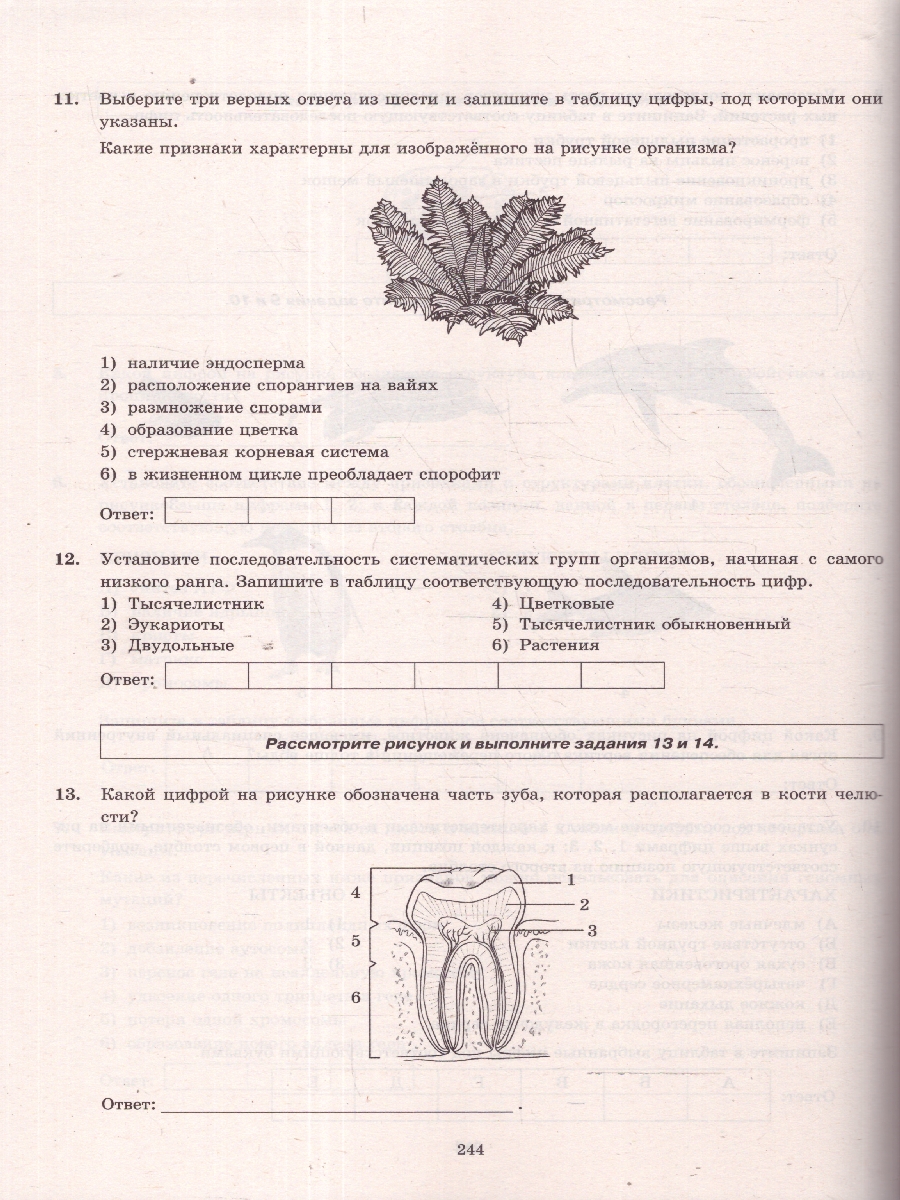 Обложка книги ЕГЭ 2025 Биология. 30 варианта. ТВЭЗ, Автор Мазяркина Т. В. Первак С. В., издательство Экзамен | купить в книжном магазине Рослит