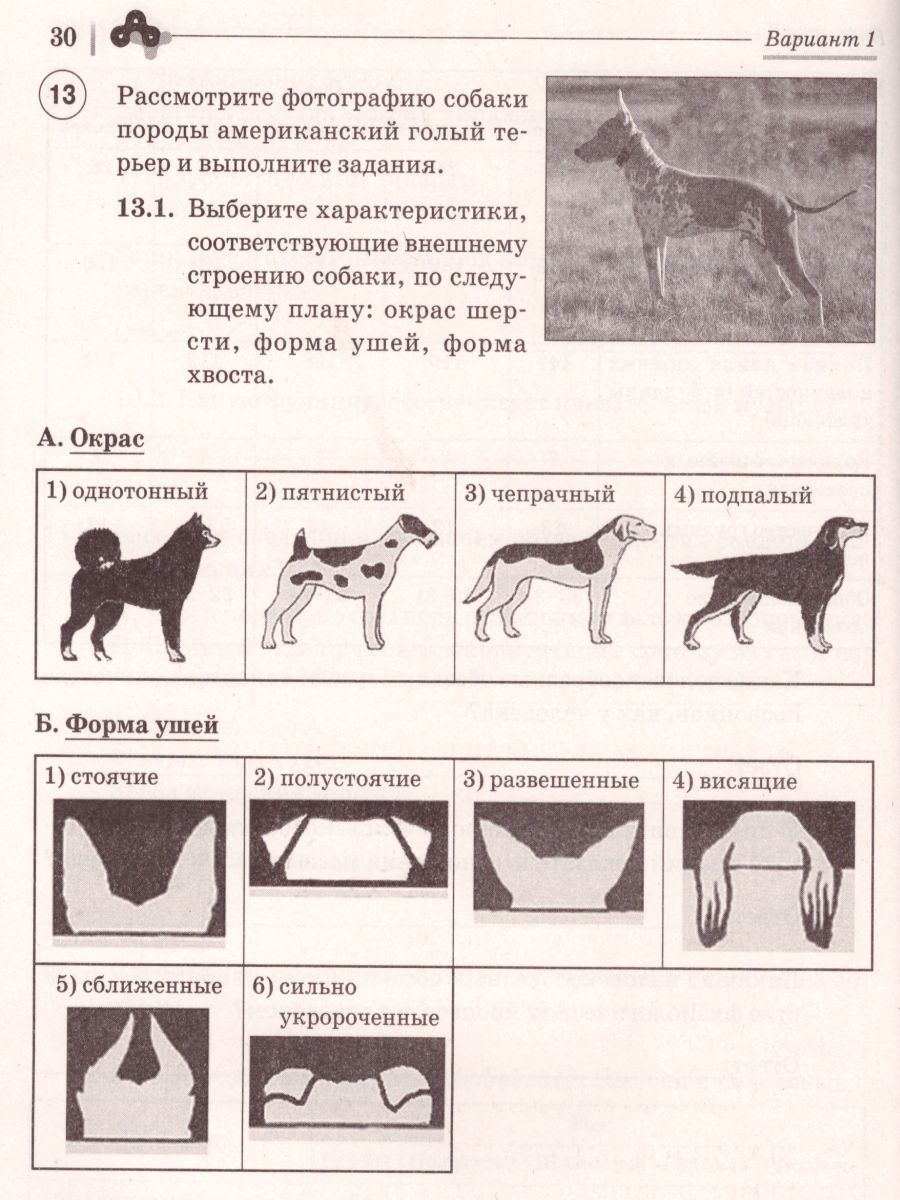 Обложка книги ВПР. Биология 7 класс. 5 тренировочных вариантов, Автор Кириленко А.А., издательство ЛЕГИОН | купить в книжном магазине Рослит