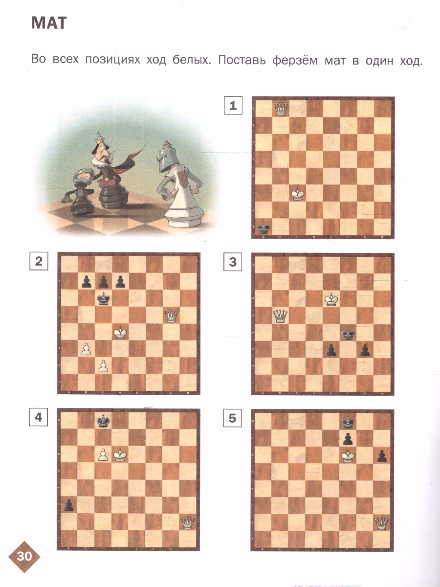 Обложка книги Шахматная школа. Первый год обучения. Рабочая тетрадь. ФГОС, Автор Барский В. Л., издательство Вако | купить в книжном магазине Рослит