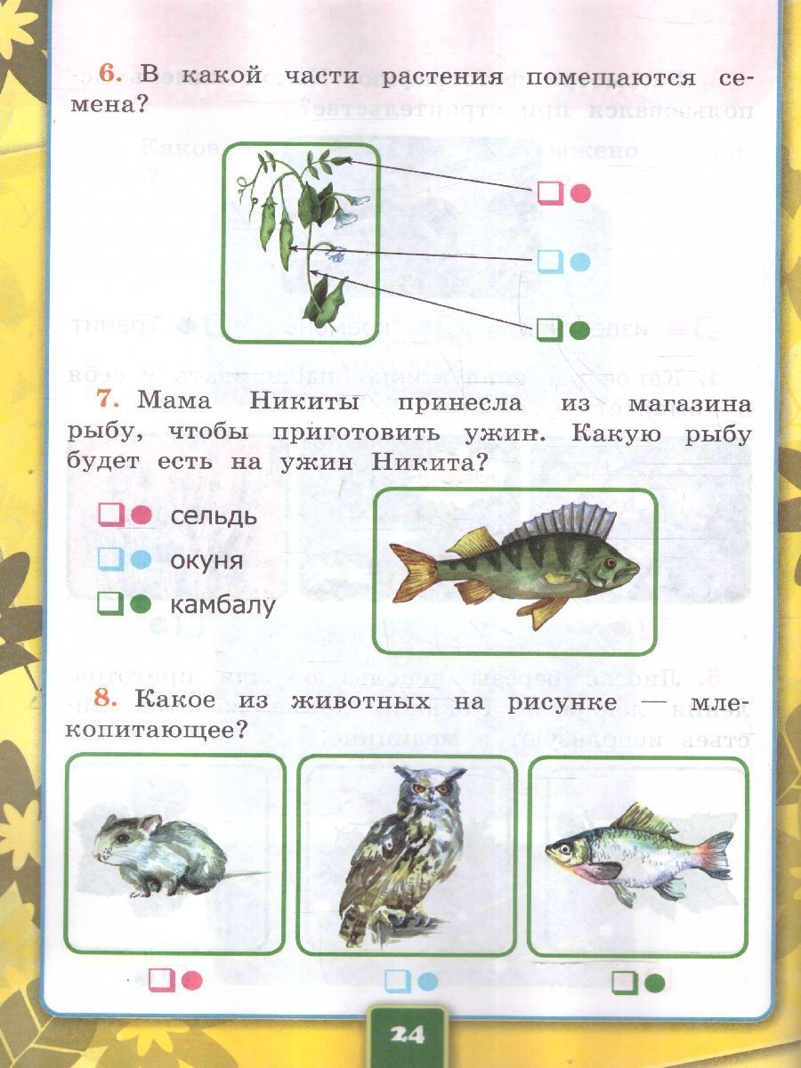 картинка Окружающий мир 1 класс. Рабочая тетрадь. Часть 1. К новому учебнику. УМК Плешакова. ФГОС НОВЫЙ от магазина Рослит