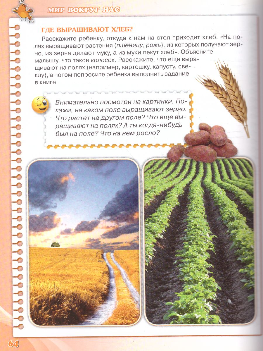 Обложка Учимся играя. Для детей 4-5 лет, издательство Олма | купить в книжном магазине Рослит