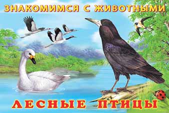 Обложка Знакомимся с животными. Лесные птицы, издательство Фламинго | купить в книжном магазине Рослит