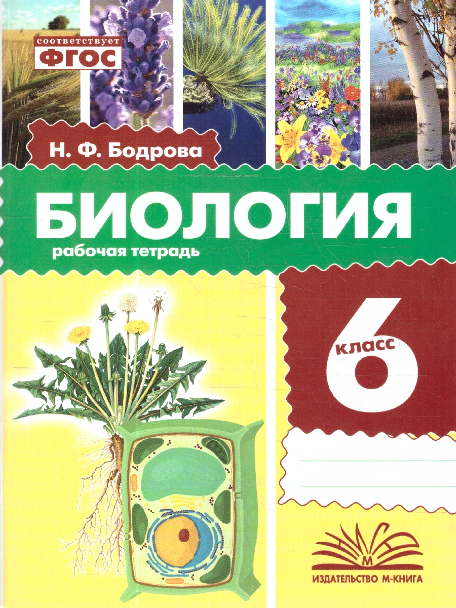 Обложка книги Биология 6 класс. Рабочая тетрадь. ФГОС, Автор Бодрова Н. Ф., издательство ТЦУ | купить в книжном магазине Рослит