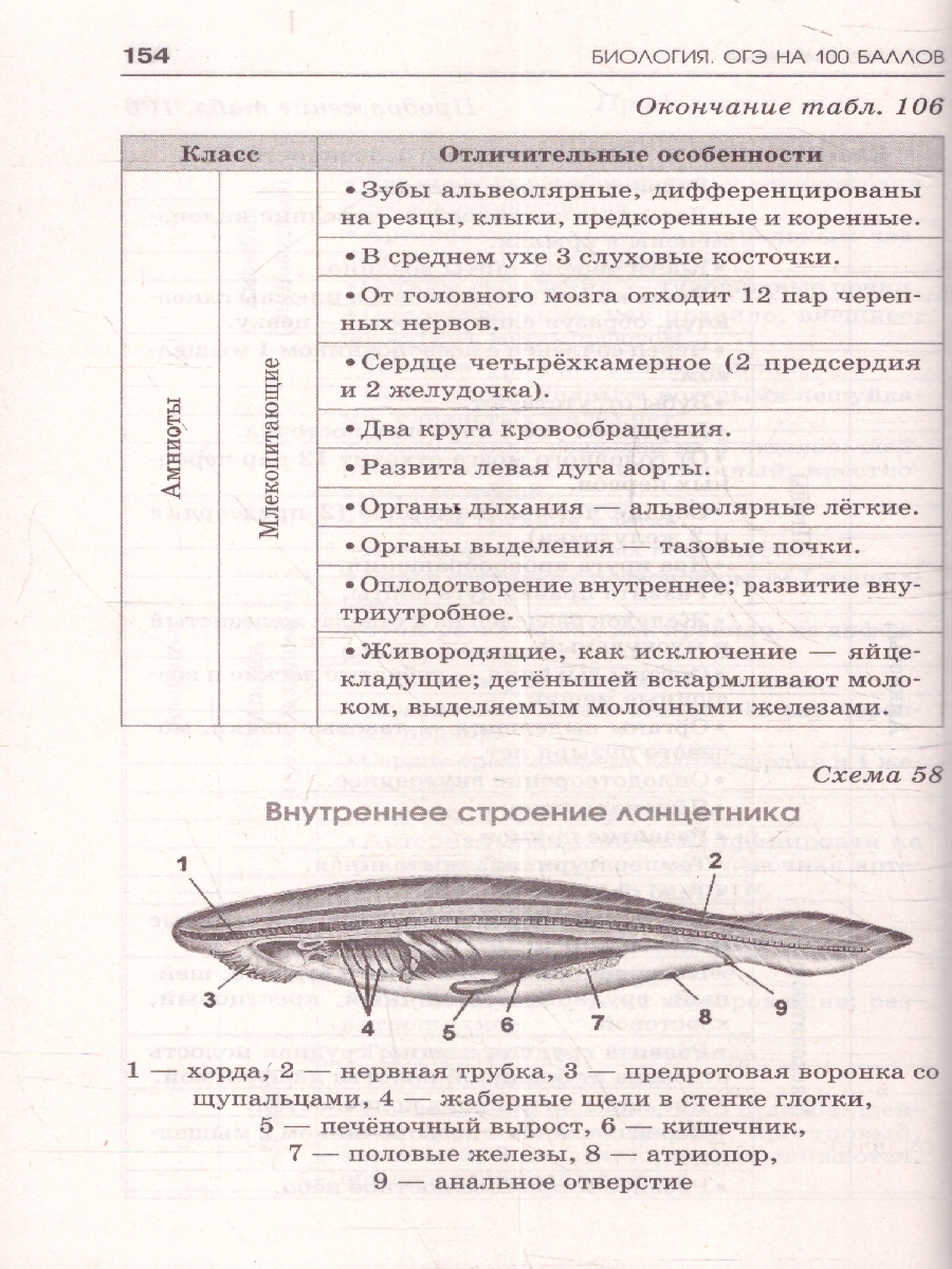 Обложка книги Биология ОГЭ 9 класс. Справочник. Теория и практика. ОГЭ на 100 баллов, Автор Маталин А. В.; Скворцов П. М.;Банколе А. В., издательство АСТ | купить в книжном магазине Рослит