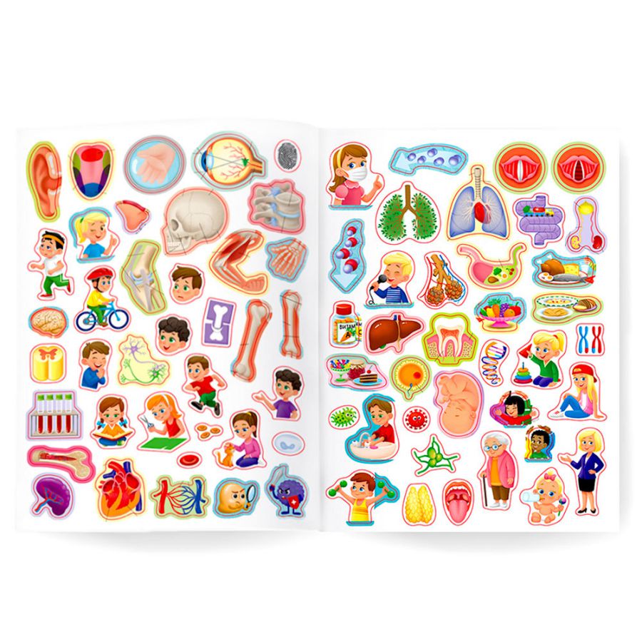 Обложка Атлас с наклейками. Тело человека, издательство ГЕОДОМ | купить в книжном магазине Рослит