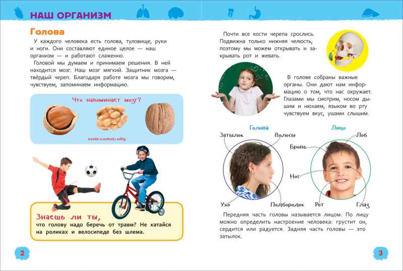 Обложка Тело человека, издательство РОСМЭН | купить в книжном магазине Рослит