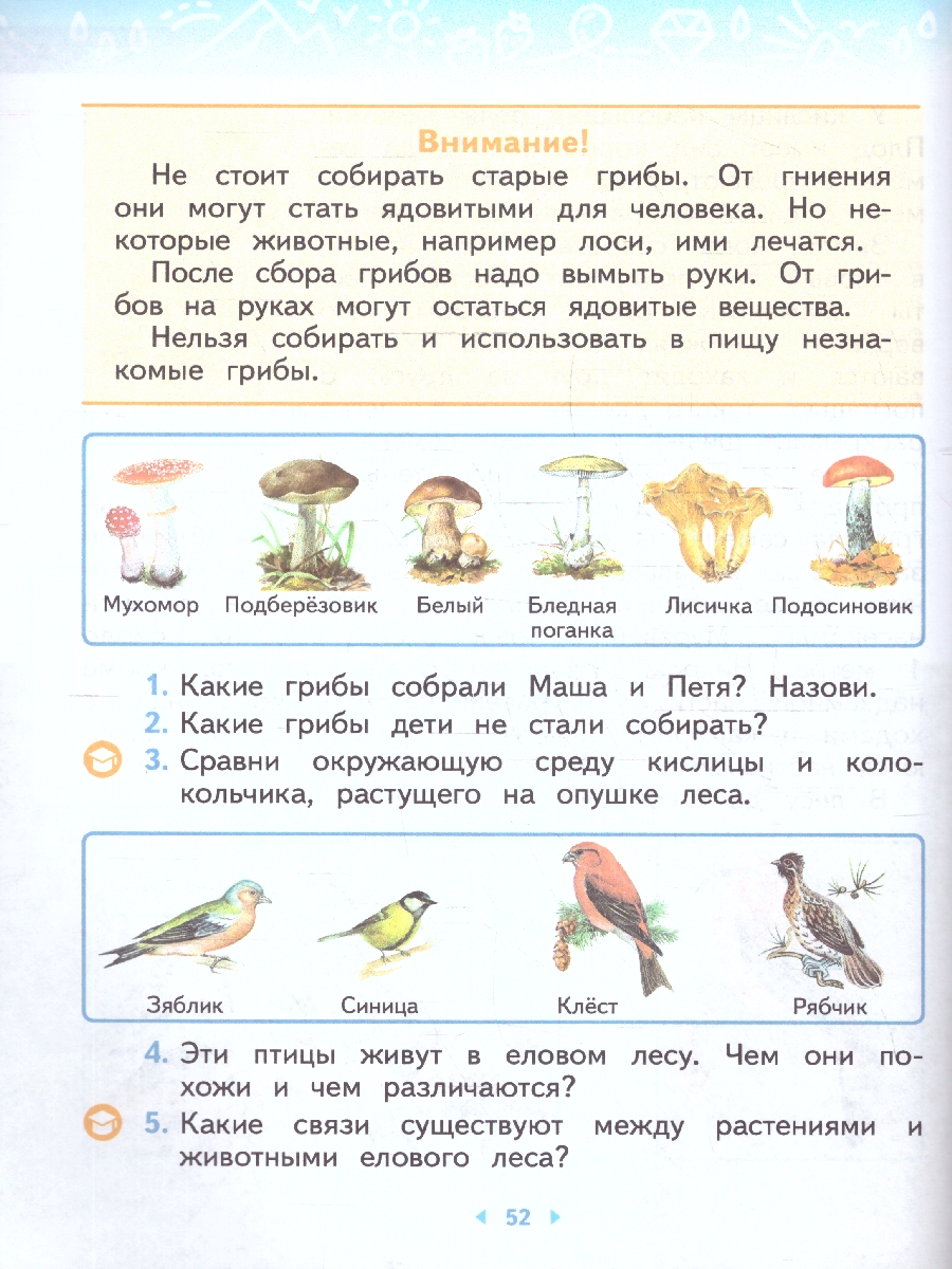 Обложка книги Окружающий мир 2 класс. Часть 2. Учебное пособие. Комплект из 2-х частей, Автор Ивченкова Г. Г. Потапов И. В., издательство Просвещение/Союз                                   | купить в книжном магазине Рослит