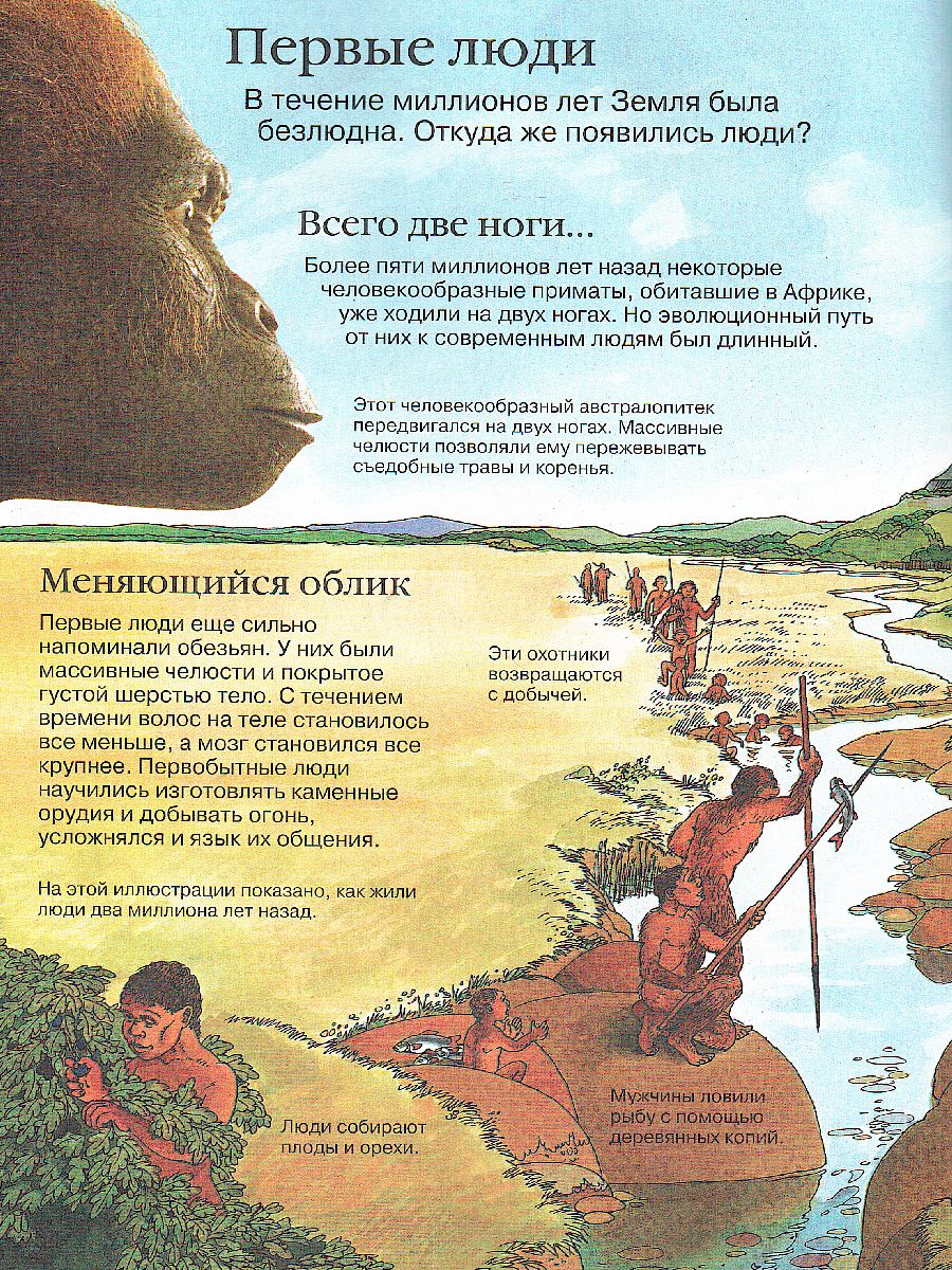 Обложка Детская энциклопедия динозавров, издательство РОСМЭН | купить в книжном магазине Рослит