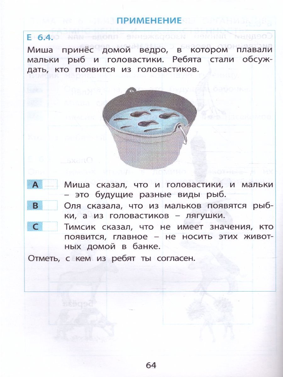 Обложка книги Тимсик и его друзья. 1класс. Тренировочные задания по математике и естествознанию, Автор Клементьева О.П., издательство Издательство Интеллект-центр | купить в книжном магазине Рослит