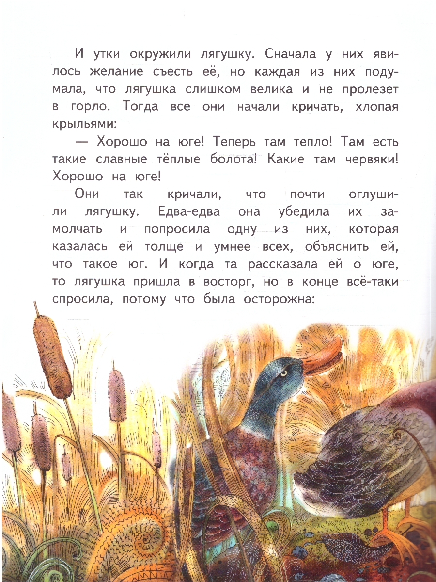 Обложка книги Лягушка-путешественница, Автор Гаршин В.М., издательство Мозаичный парк                                     | купить в книжном магазине Рослит