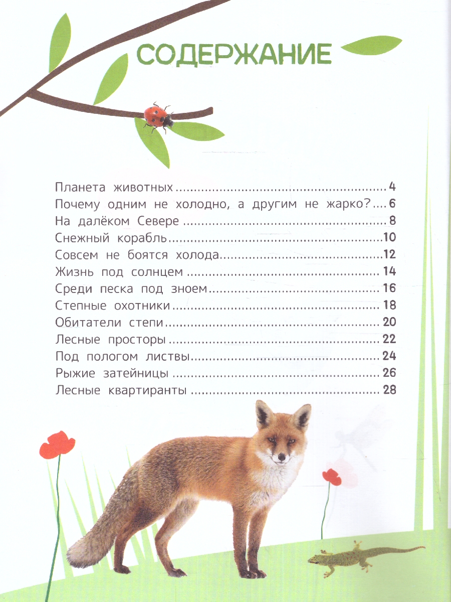 Обложка книги Животные. Энциклопедия для первого чтения с крупными буквами, изд.: Росмэн, авт.: Гальцева С. Н., Кл, Автор Гальцева С. Н. Клюшник Л. В, издательство РОСМЭН | купить в книжном магазине Рослит