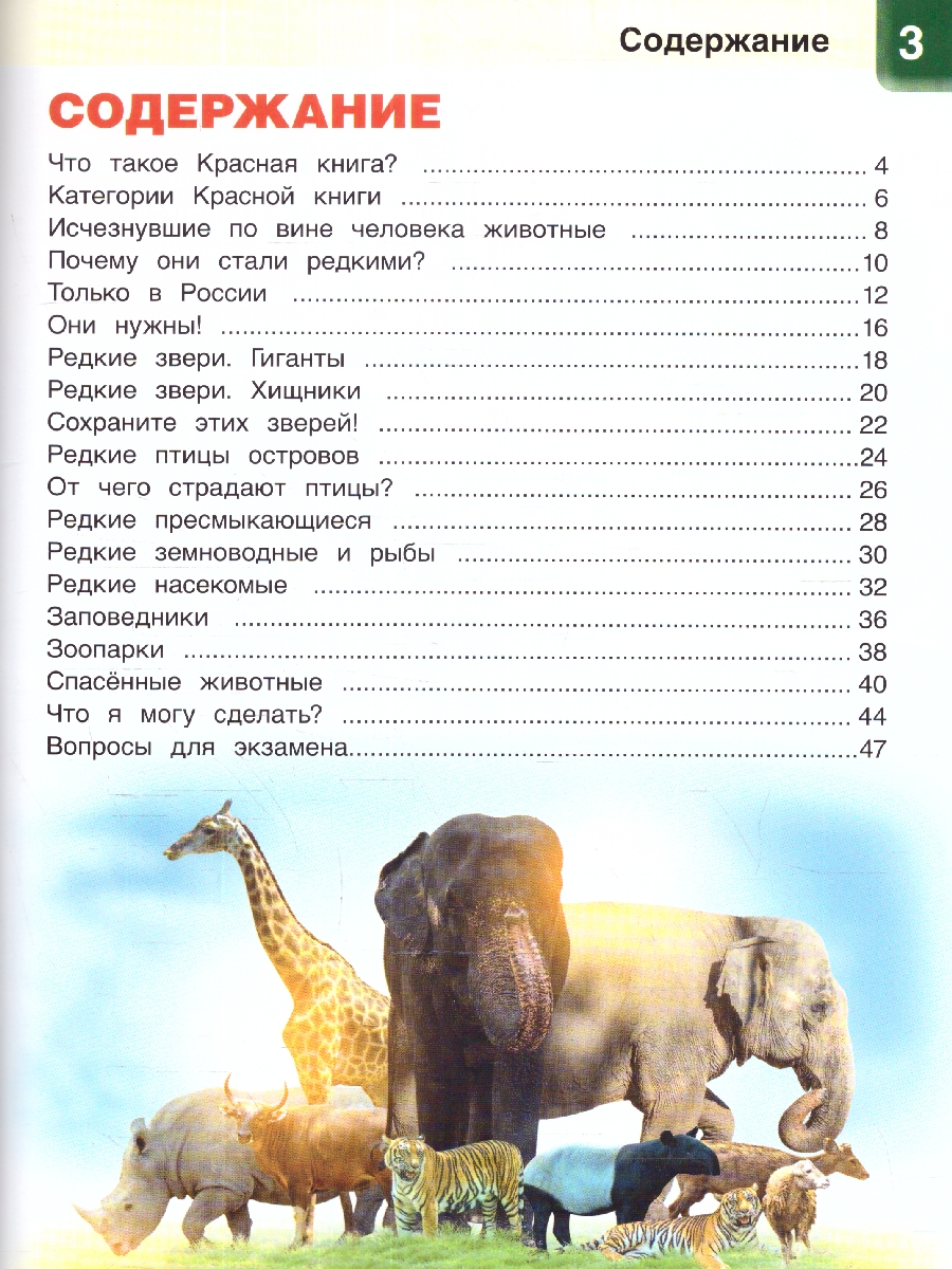 Обложка книги Энциклопедия Животные красной книги, Автор П.М. Волцит, издательство Умка                                               | купить в книжном магазине Рослит